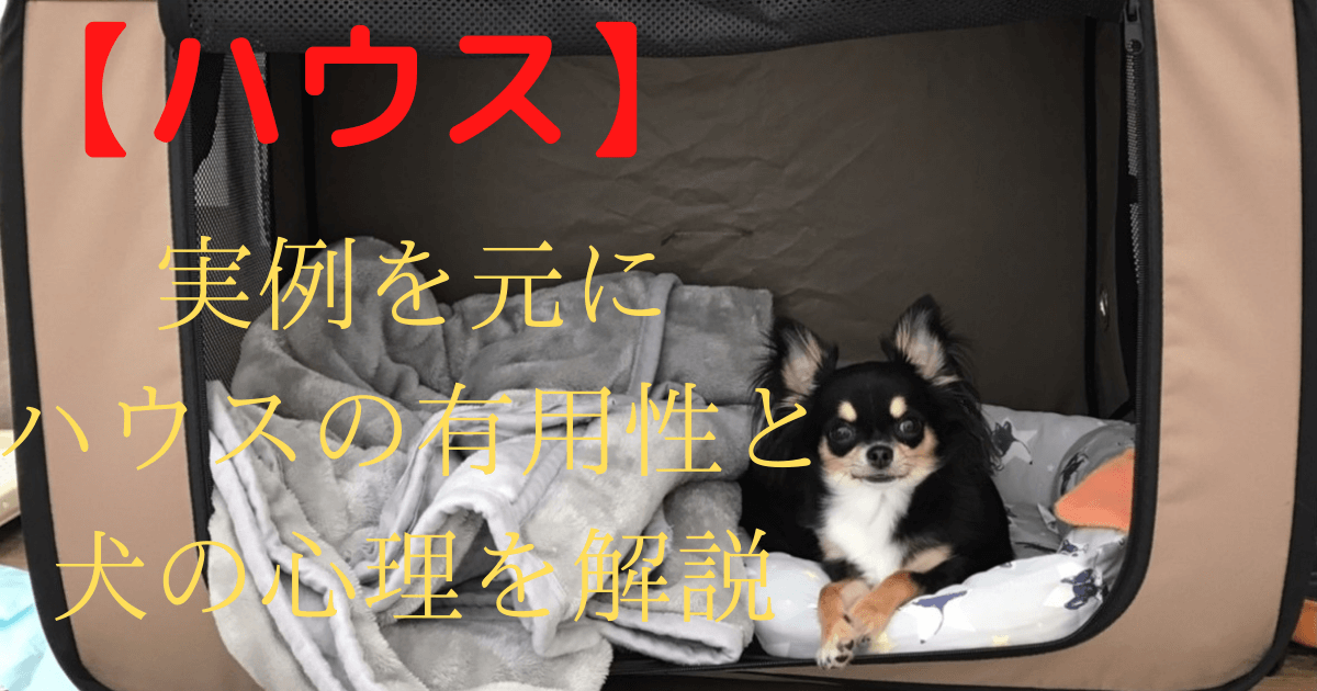 ハウスにいる犬